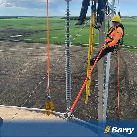 Formation en ligne gratuite sur l'inspection et la maintenance des câbles isolants Barry DEW Line®