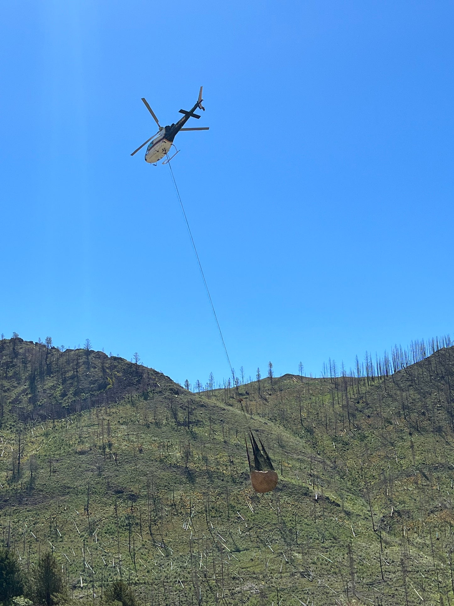 Heli-Mulching Cargo Net